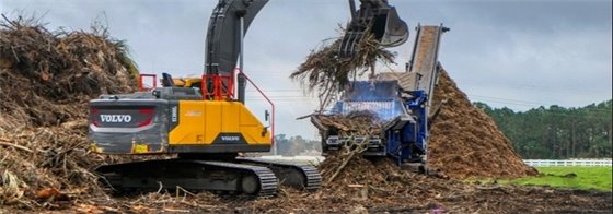 Photo of Milton Storm Debris Collection Site