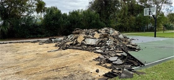 Henry Lee & Suburbia Park basketball photo