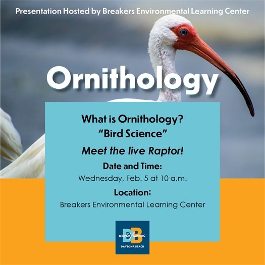 Ornithology? Feb. 5 at 10 a.m. Breakers Environmental Learning Center