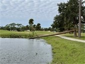 Hurricane Milton Storm Damage - Golf Course