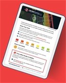 Storm Guide Decorative 