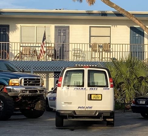 POP raid Camellia 210016347 488 x 450