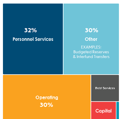 Decorative Image showing the Adopted Budget and Percentages