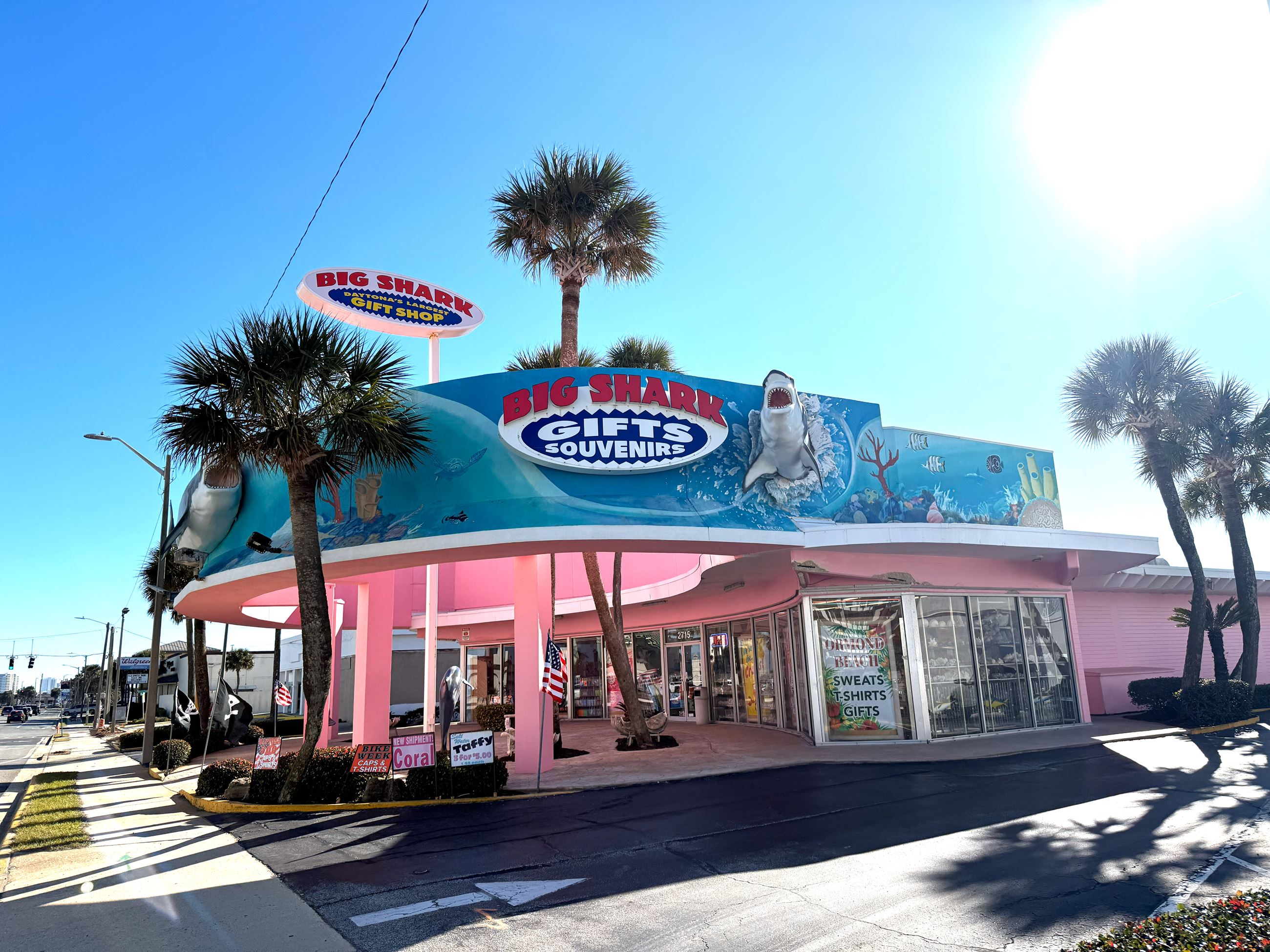 Decorative Image Big Shark Gift Shop